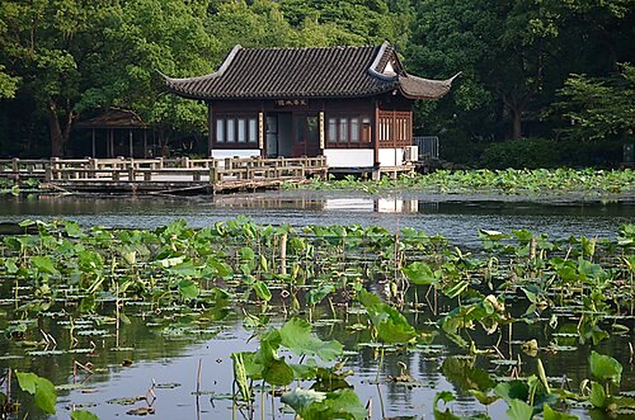 A waterside pavilion framed by lotus-filled wetlands and lush greenery in Hangzhou's Xixi Wetland Park.