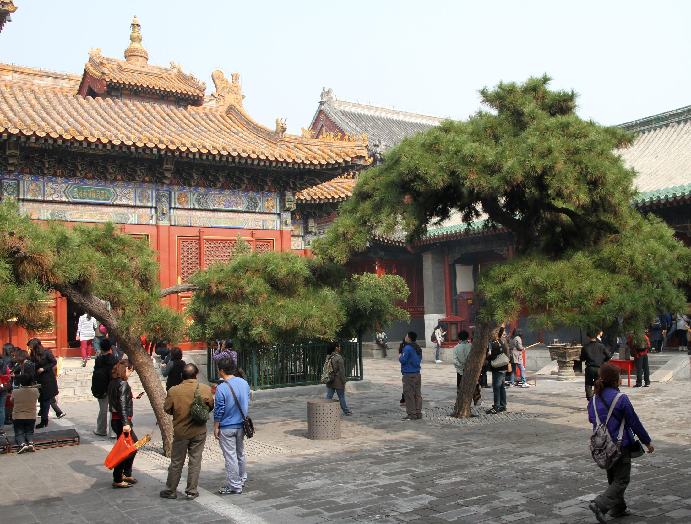 Courtyard buildings and pine trees inside Yonghe Temple in Beijing.
