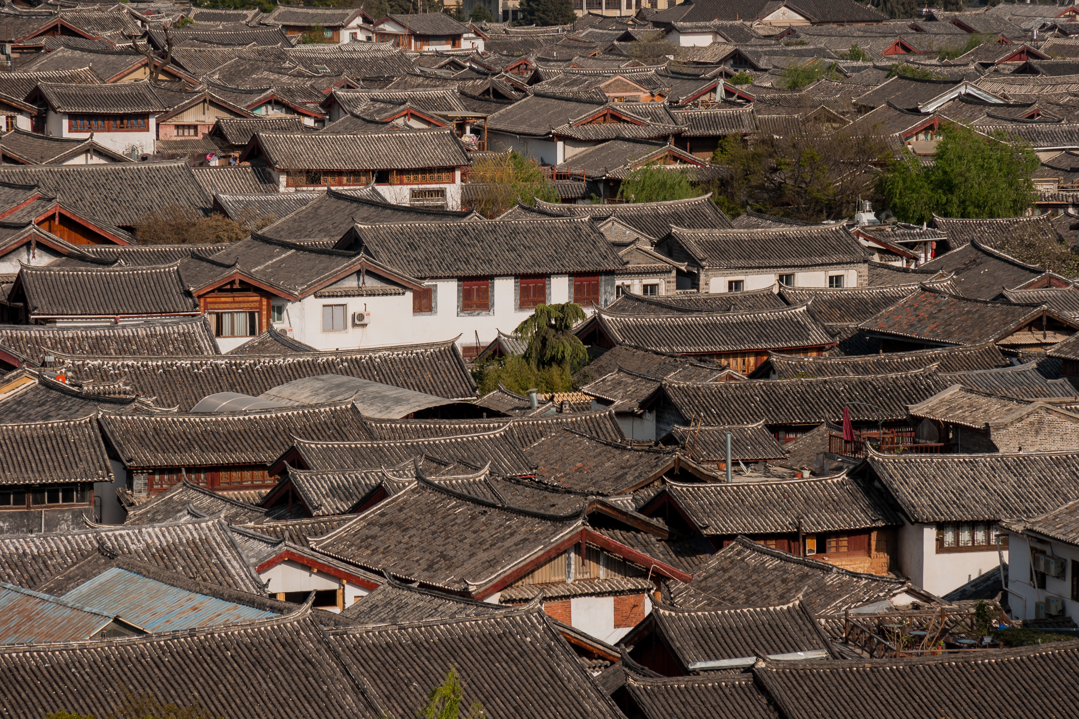 The tightly layered tiled rooftops of Lijiang Old Town spreading across the basin under clear plateau light.