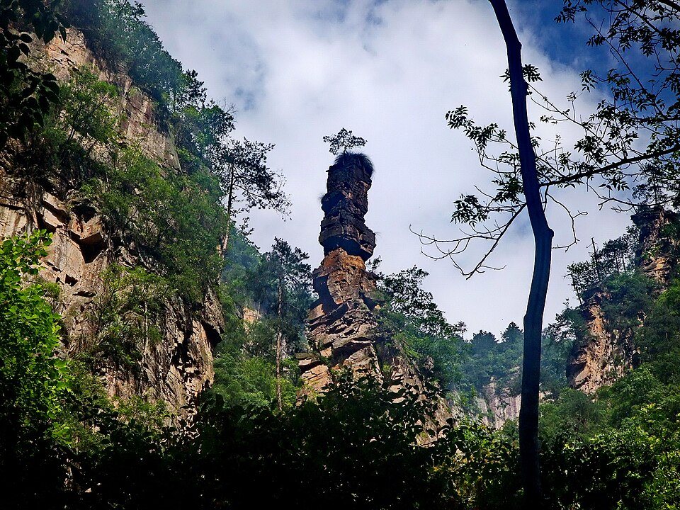 A clear stream winding through lush forest and soaring sandstone scenery in Zhangjiajie's Golden Whip Stream area.