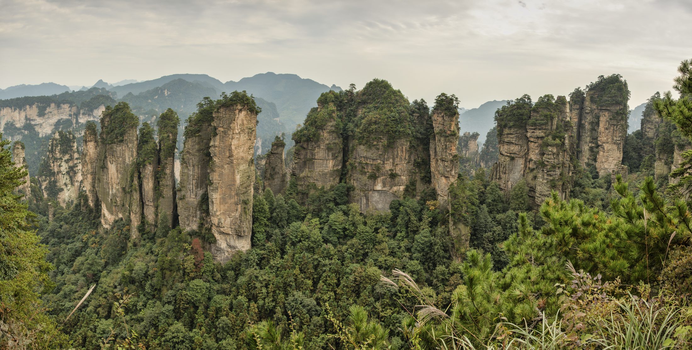 Misty sandstone peaks rising through the forest in Zhangjiajie.